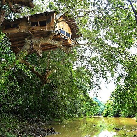 Вилла Kumbuk Tree House Тиссамахарама Экстерьер фото