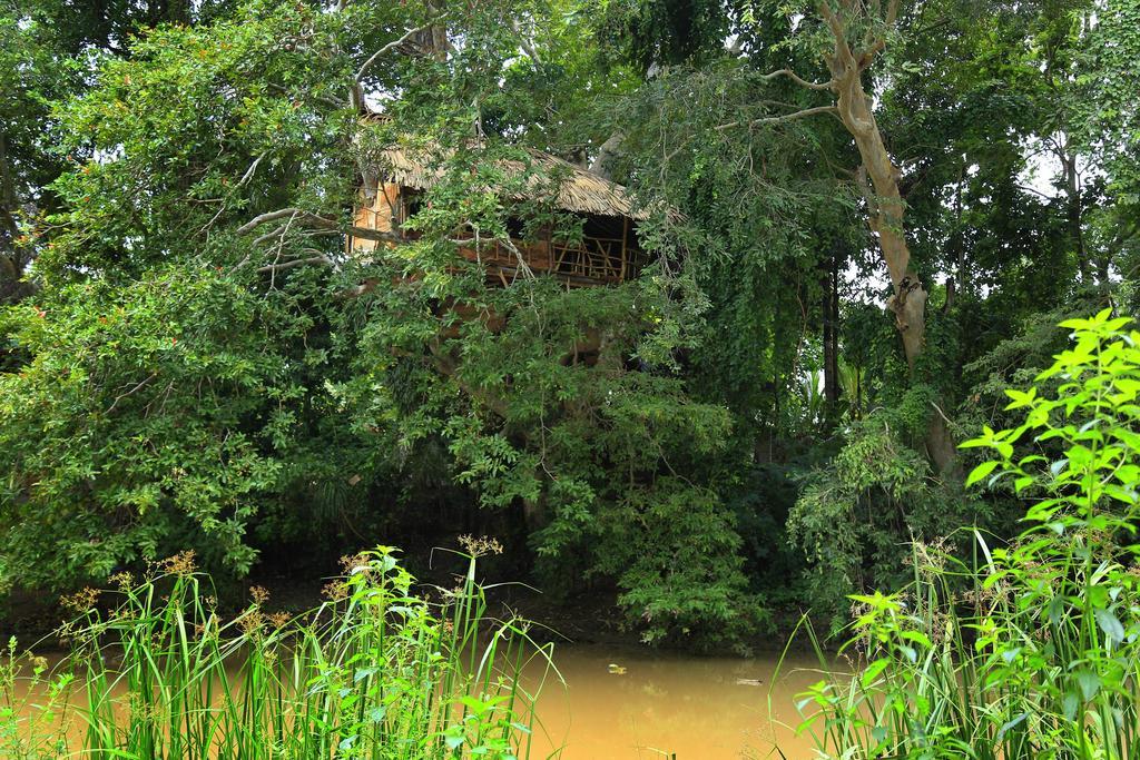 Вилла Kumbuk Tree House Тиссамахарама Экстерьер фото